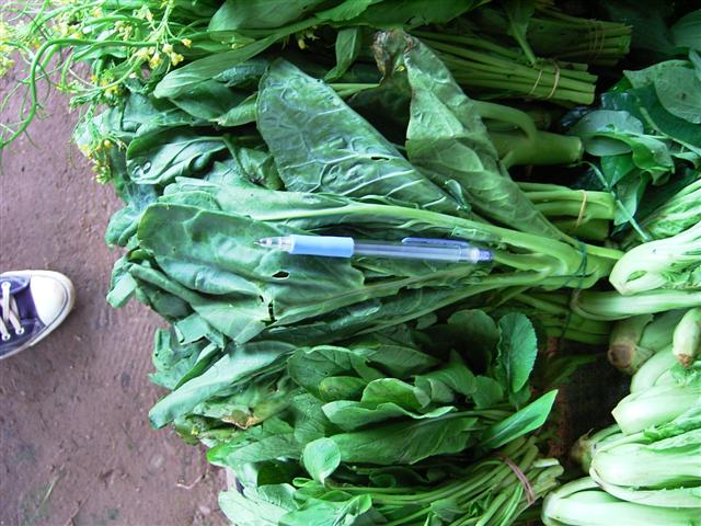 カイラン、phark kaad na、Brassica alboglabra