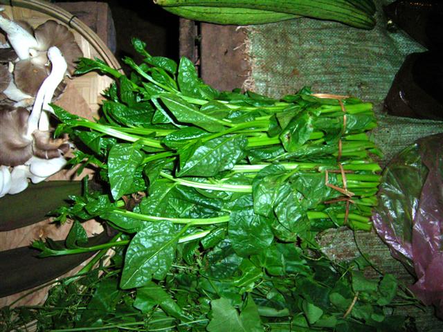 ツルムラサキ、phark pang、Basella alba