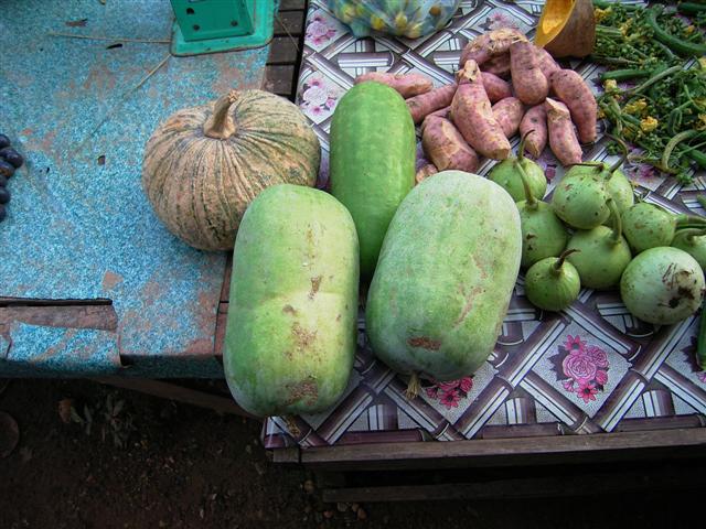 トウガン、mark tone、Benincasa hispida