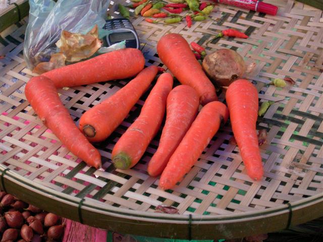 ニンジン、hua kalot、Daucus carota