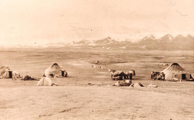 1900年初頭の放牧風景