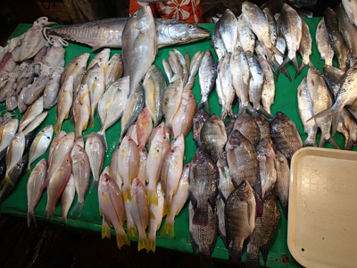 魚屋さんに並ぶパナイ島の魚たち。