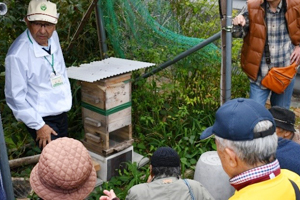 中京区役所屋上での養蜂見学・ボランティアによる説明