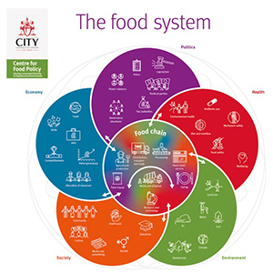 Fig 1: Circular map of the food system, with flows connecting the food chain with the environment, economy, society, health, and politics (Parsons et al. 2019).