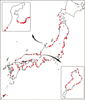 図3：日本列島を広域に網羅したアユのサンプル採集地点