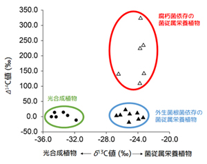 図4. 独立栄養植物と菌従属栄養植物のδ13C値（光合成依存度の指標）とΔ14C値の比較