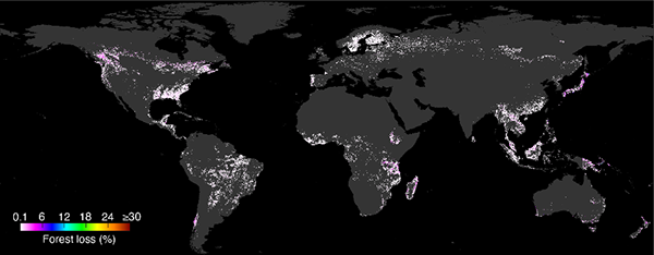 図2: 日本の消費による世界各国での森林伐採の地図