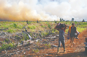 写真1　深刻な泥炭火災と火から逃れる現地住民