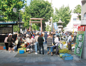 写真写真　日本のファーマーズマーケット日本のファーマーズマーケット