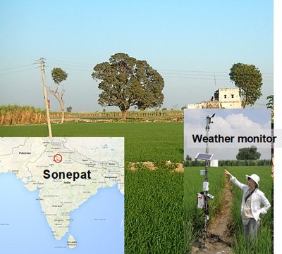写真２:デリーの北50kmにあるソーニーパット村での大気観測