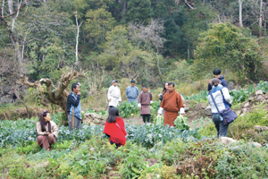 無農薬野菜畑の見学(ブータン・ウォンデュ県ヘベサ村)