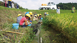 Photo 3 Community-based governance in the Lake Biwa Watershed