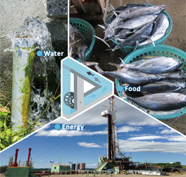 Water-Energy-Food Nexus