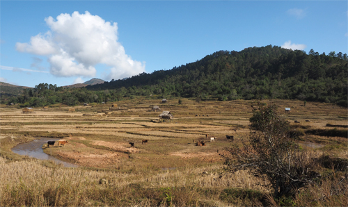 A typical satoyama landscape in Yunnan Province, China.
