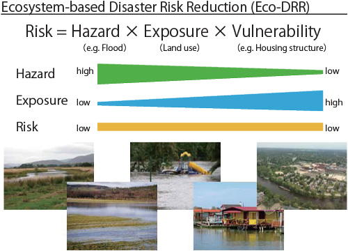 Ecosystem-based disaster risk reduction (Eco-DRR) not only lowers disaster risks but also receives benefits of ecosystem services by reducing the exposure of human activities in high-hazard locations and performing human activities in low-hazard places.