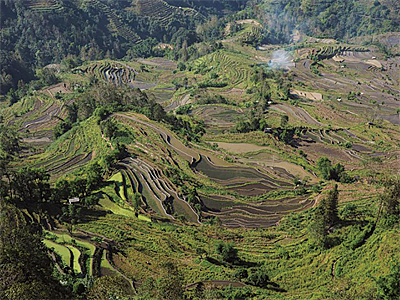 A typical satoyama landscape in Yunnan Province, China.