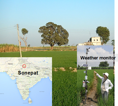 Photo.2 : Atmospheric measurements at Sonepat which is located 50 km north of Delhi.