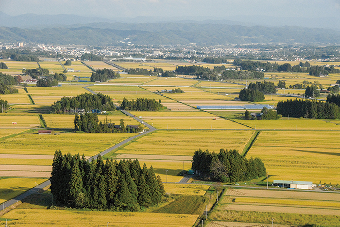 Traditional agricultural landscape in Hanamaki, Iwate Prefecture, Japan