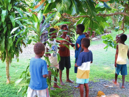 昆虫採集（サンボンツノカブト）の情報を共有し合う子供達（ソロモン諸島・ササムンガ）