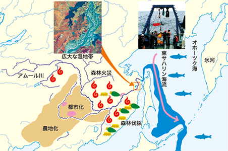 アムール 川 地図