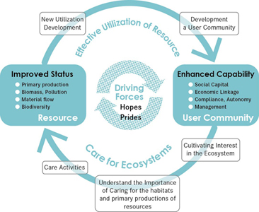 Area-capability cycle model  (click to magnify)