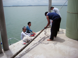 タイ・バンドン湾での調査の様子
