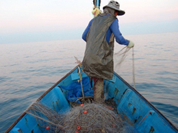Crab gill netting in Rayong, Thailand