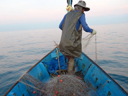 タイ国ラヨーンのカニ刺網操業