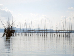 フィリピン・バタン湾の固定式漁具