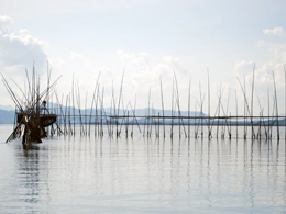 Set-net gear in Batan Bay, Philippines