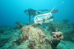 石垣島での水中文化遺産の調査（撮影：山本遊児氏）