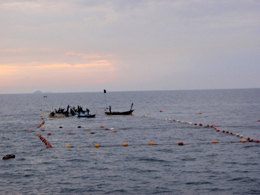 Japanese-style set-nets in the waters of Rayong Province