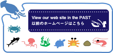 View our web site in the PAST 以前のホームページはこちら