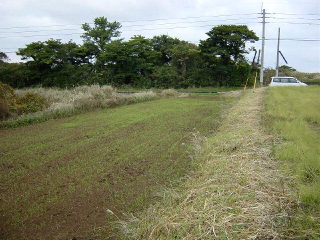 m_DSC00021a.JPG