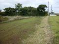 DSC00021a.JPG