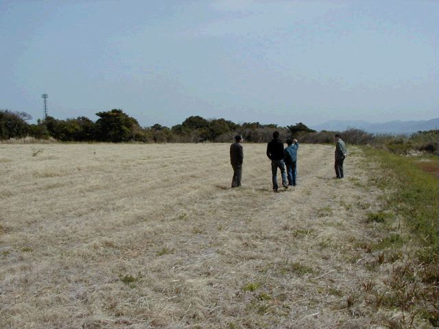 m_P3190027.JPG