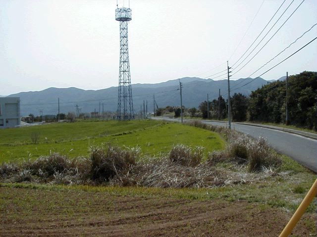 m_P3190028.JPG