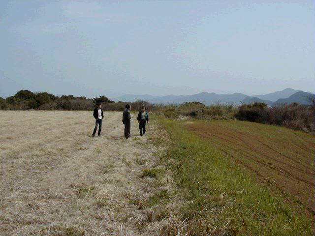 m_P3190030.JPG