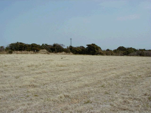 m_P3190031.JPG