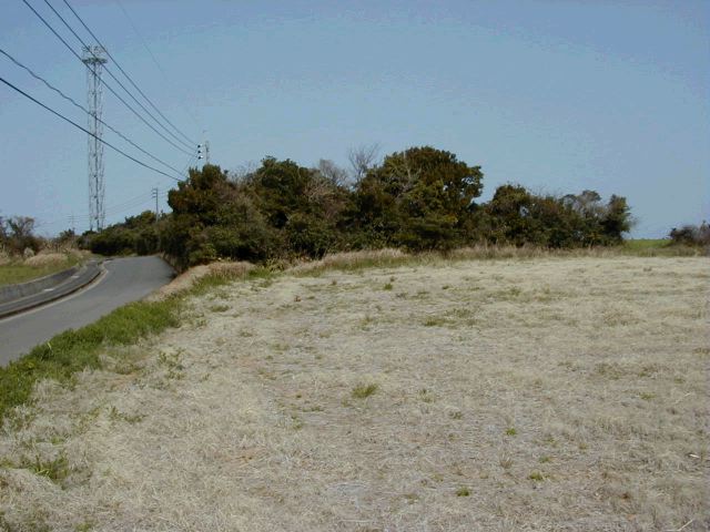 m_P3190032.JPG