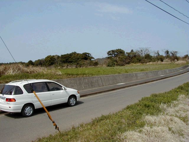 m_P3190033.JPG
