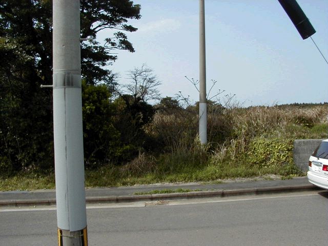 m_P3190034.JPG