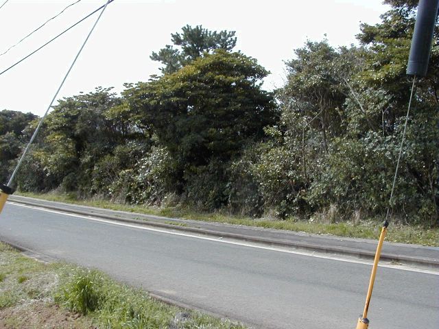 m_P3190035.JPG