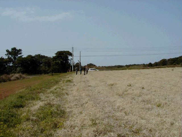 m_P3190036.JPG