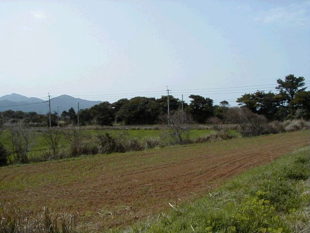 m_P3190037.JPG