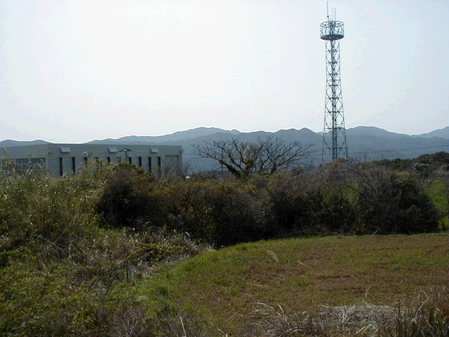 m_P3190038.JPG