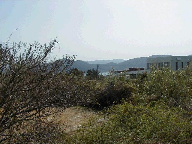 m_P3190039.JPG