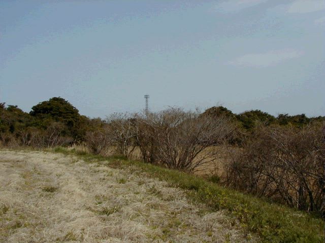 m_P3190041.JPG