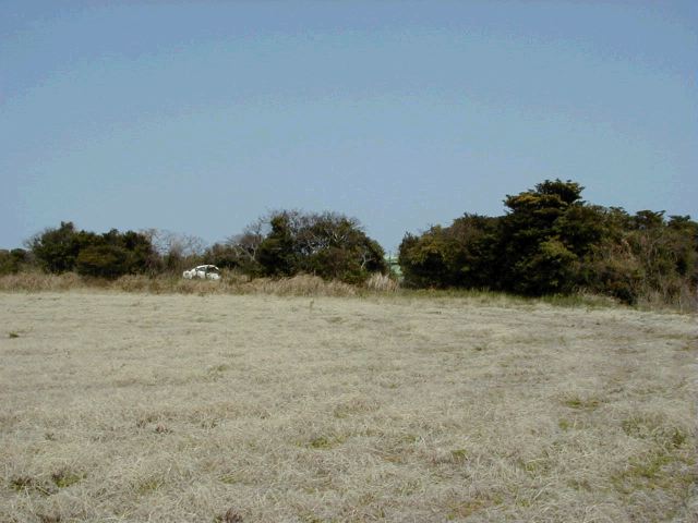 m_P3190042.JPG