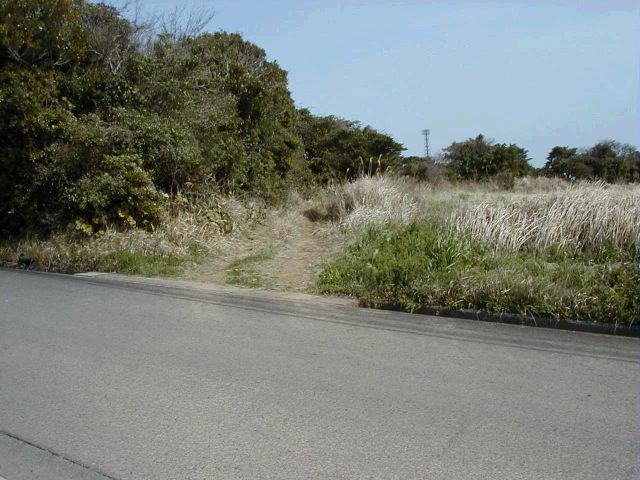 m_P3190050.JPG